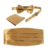 Formal Ties, Cummerbunds & Pocket Squares for Men