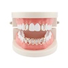 Dental Grills for Women: Shop Body Jewelry & Clothing