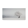 Collectibles & Fine Arts: Discover Vintage & Contemporary Art