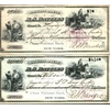 Collectible Currencies: Coins & Sets For Fine Arts Investors