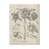 Fresco Paintings: Collectibles & Fine Art