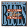 Chicago Blues: Digital Music & Regional Sounds