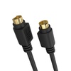 S-Video Cables: Electronics Accessories & Supplies