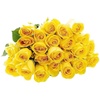 Fresh Cut Flowers | Carnations, Daisies, & More
