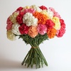 Carnations: Fresh Flowers & Plants for Grocery & Gourmet Food