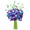 Orchids: Fresh Flowers, Plants & Gourmet Food Delivery