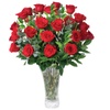 Roses: Shop Gourmet Fresh Flowers & Plants Online