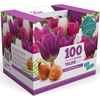 Tulips: Fresh Flowers & Gourmet Food | Live Indoor Plants