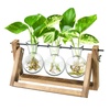 Bamboo Groceries: Gourmet Food & Live Plants