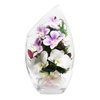 Orchids: Fresh Flowers & Live Indoor Plants