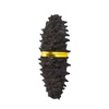 Dried Sea Cucumber: Gourmet Seafood & Groceries