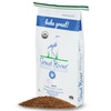 Wheat Berries: Gourmet Food & Pantry Staples