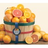 Mandarin Oranges & Citrus Fruits - Grocery Delivery