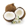 Gourmet Coconuts: Fresh & Delicious Produce
