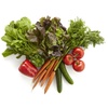 Gourmet Lettuce: Fresh Grocery & Produce Options