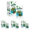 Seaweed Snacks: Gourmet Food & Grocery Options