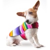 Handmade Coats & Apparel for Dogs & Pets