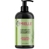 Health & Hair Care Shampoos for All Needs