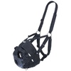 Gags & Muzzles: Health & Wellness Accessories