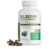 Bilberry Health Benefits & Supplements for Personal Care