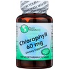 Chlorophyll for Health & Wellbeing - Vitamins & Supplements