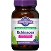 Echinacea Health Benefits & Supplements