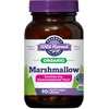 Marshmallow Root: Health & Wellness Supplements