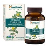 Tribulus: Health Supplements & Herbal Remedies