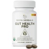 Triphala Health Supplements: Boost Your Wellness with Herbal Vitamins