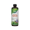 Flax Seed Oil: Health & Beauty Benefits for Personal Care