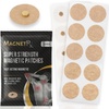 Magnetic Field Therapy for Health & Relaxation