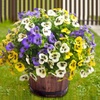 Artificial Shrubs & Décor for Home | Artificial Plants