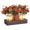 Decorative Jars & Home Decor Accessories