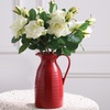 Decorative Pitchers: Home Décor & Kitchen Accents