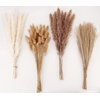Vase Fillers & Home Décor - Home & Kitchen