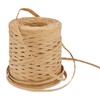 Paper Ribbon & Raffia: Arts Crafts Supplies for Sewing & Crafting