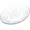 Dinner Plates: Food Service & Supplies from Industrial to Tabletop
