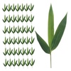 Sushi Plates: Industrial & Scientific Food Service Supplies