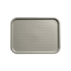 Serving Trays & Accessories for Food Service