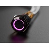Pushbutton Switches & Industrial Controls