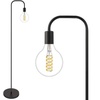 Incandescent Lamps: Industrial & Scientific Lighting
