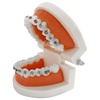 Orthodontic Supplies & Equipment for Dentists
