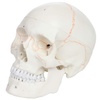 Professional & Scientific Guides: Industrial Supplies & Medical Tools