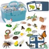 Insects & Insect Kits: Science Education for All