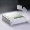 Microscope Sample Slides | Industrial & Scientific