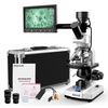 Compound Microscopes: Advanced Viewing & Analysis Tools
