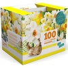 Browse Flowers: Annuals, Bulbs, Orchids & More at Our Digital Store