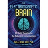 Electromagnetic Theory: Digital Ebooks & Nonfiction