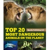 Reptiles & Amphibians: Digital Ebooks on Biology and Animals