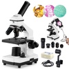 Electron Microscopes & Microscopy: Digital Store